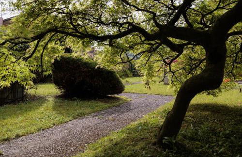 Il Giardino Segreto - Foto 16