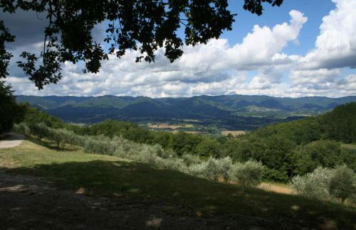 Podere Capitignano - Foto 23