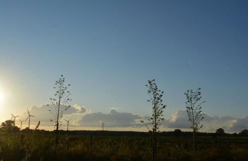 Ferienhaus Grafenland - Foto 17