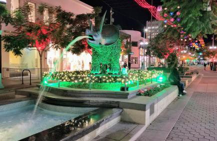 Double Suite Santa Monica - Free Parking - Foto 32