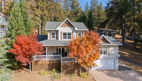 Zen Whisper in the Woods - Foto 2