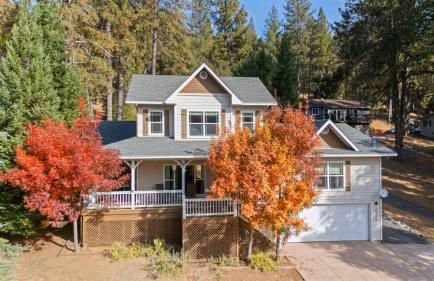 Zen Whisper in the Woods - Foto 2