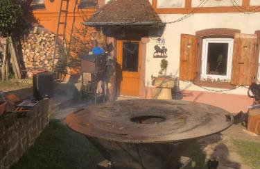 Maison pittoresque à Sainte-Croix-aux-Mines, vue sur la montagne - Foto 67