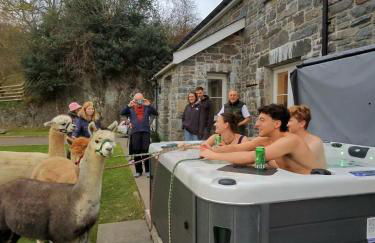 Stunning Barn Conversion with HOT TUB and ALPACAS - Ty Cerrig Barn - Photo 3