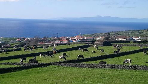 O Miradouro - Photo 5