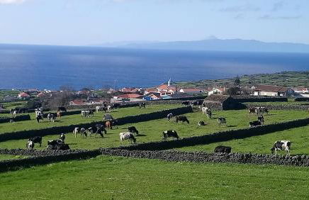 O Miradouro - Photo 5