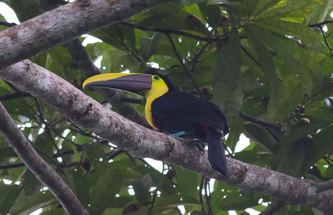 River Tundó Canoe Trip - Photo 4