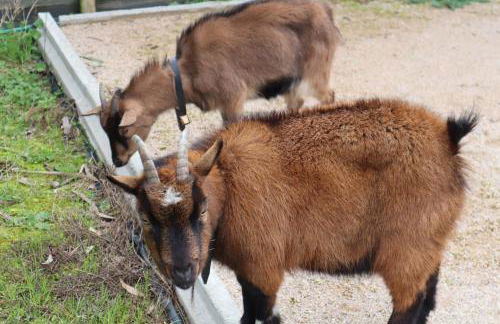 Luxury Private apartment FREE Play Park inc QUID BIKES PRIVATE Heated swimming pool - Foto 9