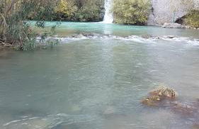 cortijo la laguna - Foto 35