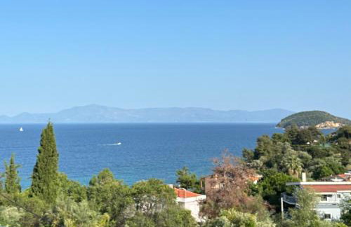 Olivia -Ελιά - Foto 11