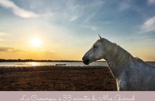 Gîtes Le Mas Guiraud - Foto 78