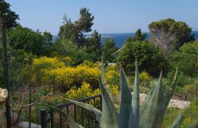 STUDIO APARTMAN STARA BAŠKA - Foto 49