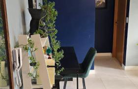 Apto Ipiranga 1 Quarto com vaga de garagem - Foto 4