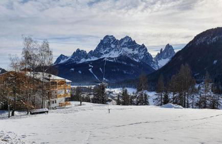 Im Wiesengrund Apartments - Foto 2