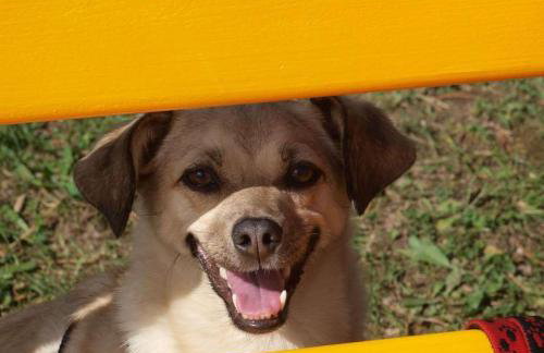 Haus Jehle - Foto 10