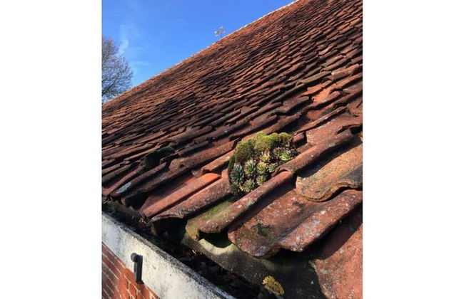 Swanenhuus Modern Retreat - Photo 15