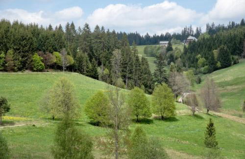 Rutscherhof Breitnau - Foto 35