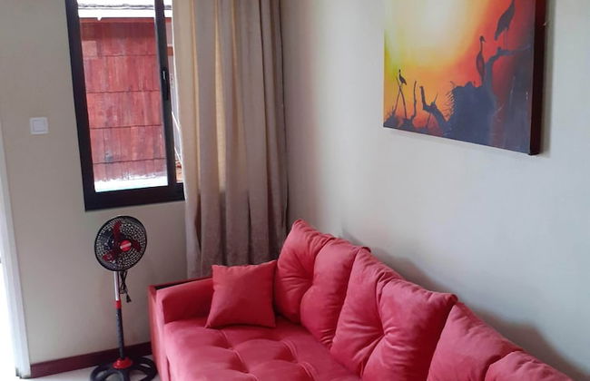 Max Garden and Pool - Photo 26