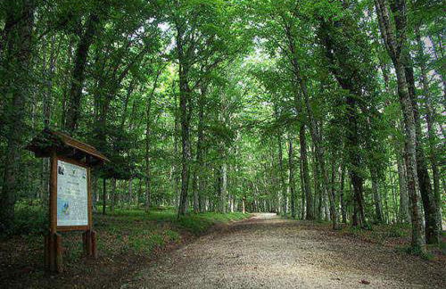 Cà Sal Holiday Home - Foto 38