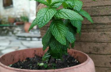 Stonehouse - The Secret Place - Foto 33