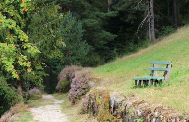 1 Fuchskreuzhof Comfortable Holiday Residence - Foto 22