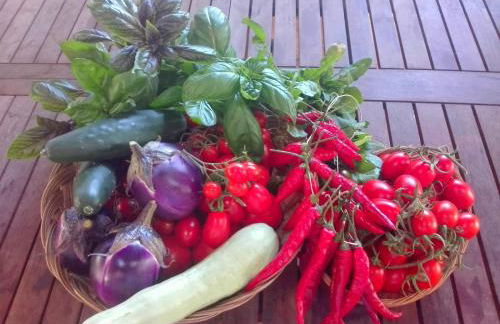 Litto Appartamenti - Photo 40