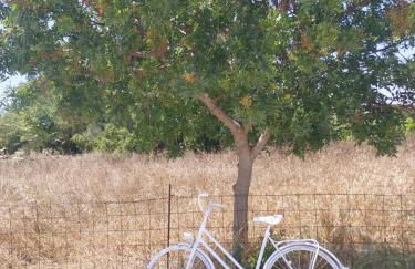 Small houses anna&sofos - Foto 18