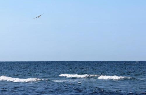 Möve Aba Bungalow 67 - Photo 9