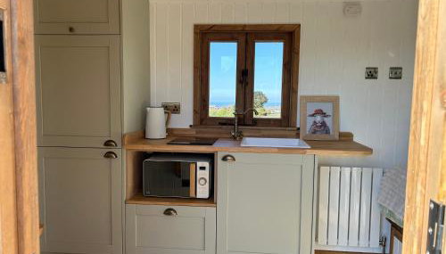 Fernlea Luxury Shepherds Hut & Hot Tub - Foto 5