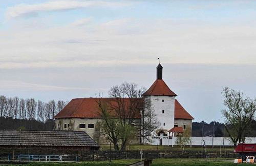 Appartment Podravina - Foto 10