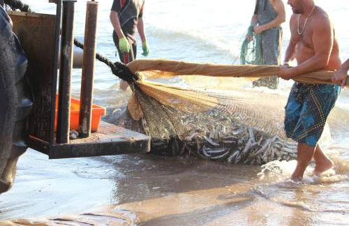 Casinha; Piscina/ Praia/ Lisboa - Foto 44