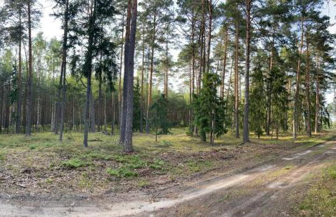 Ruciane Wianki DOM W SERCU WARMII - Foto 4