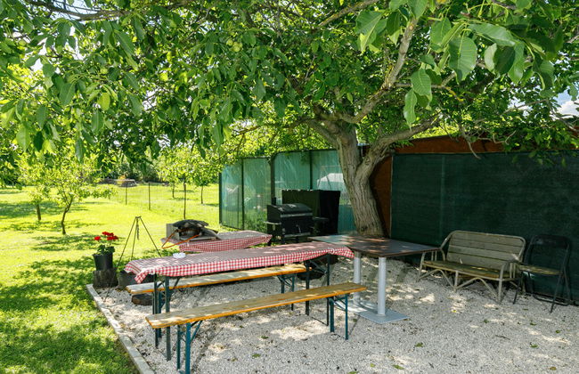 Meretei Porta - Foto 19