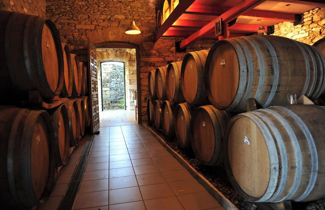 Montofoli Wine Estate - Foto 41