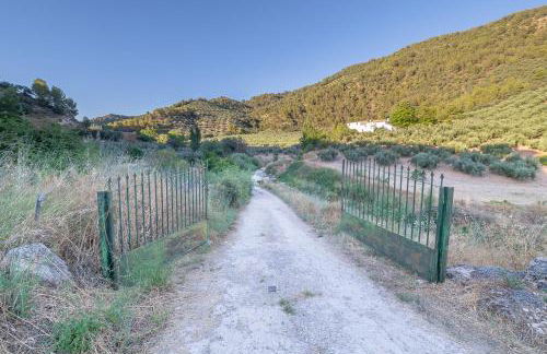 Cortijo Rural Las Nogueras - Foto 74