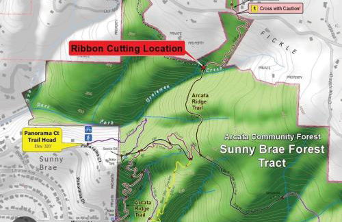 Arcata Forest Retreat Peaceful Redwood Suite 5 min to Downtown Arcata w Private Patio Fountain & Fire Pit - Foto 5