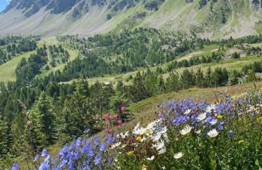 Studio 4 pers à 100m des pistes- Vars les claux - Foto 20