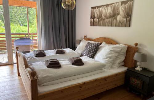 Stube9 am Feldberg, direkt an der Skipiste, Ski in-Ski out - Photo 25