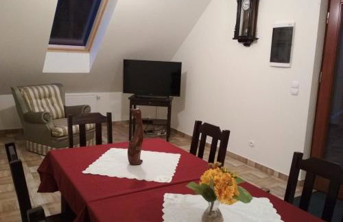 Koci Grzbiet Agroturystyka - Foto 21