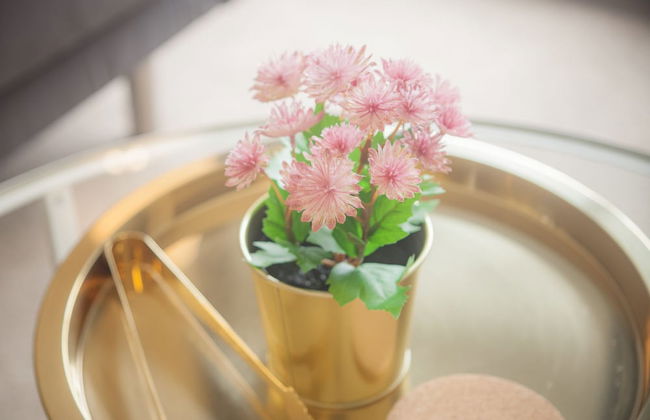 Maison Home - Marinas Apartments - Photo 26