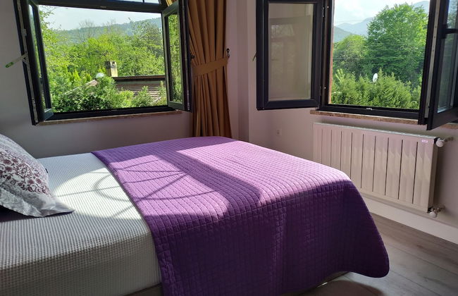 Sapanca Villa Natura Gol Evi - Foto 3