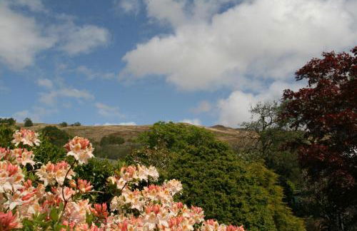 Laich Cottage - Foto 8