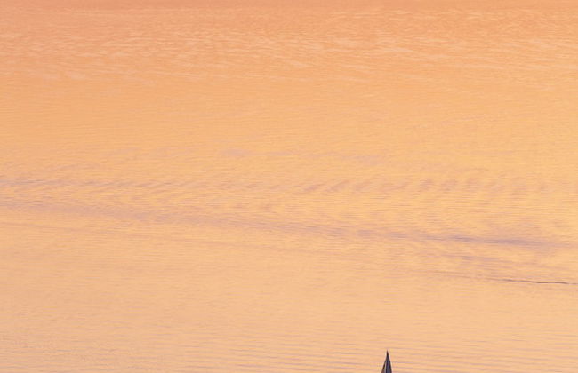 domaine du deven - Foto 66