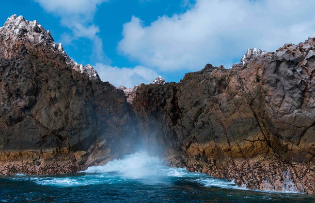 Escursione a Punta Mita e alle isole Marietas - Foto 5
