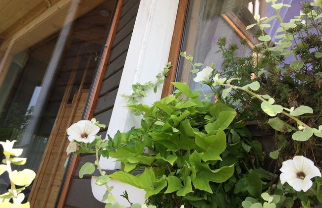 Kaimo Turizmo Sodyba Geras - Photo 22