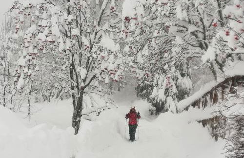 Chalet Abetone in Tuscany - Foto 30
