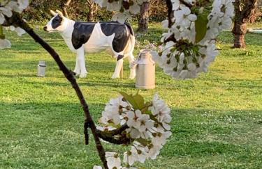 VILLA CATHY - Foto 20