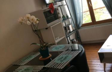 F2 cosy avec Cour - Foto 2