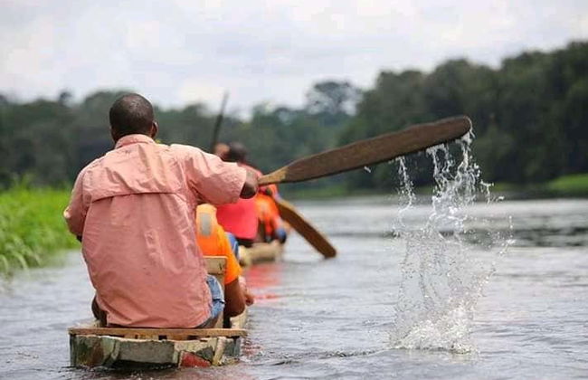 Excursion au Parc national de la Mefou et à la réserve forestière d'Ebogo - Photo 2