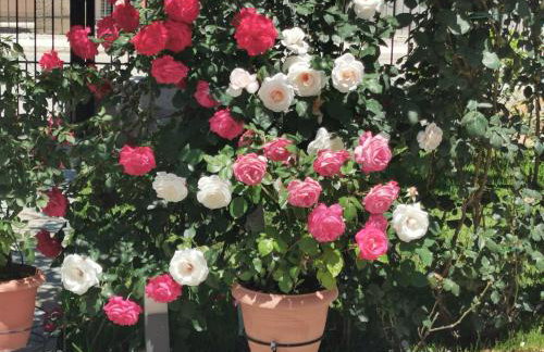 Kardiakafti Village - Foto 34